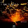 I Saw It On T.V. - Stay - Single